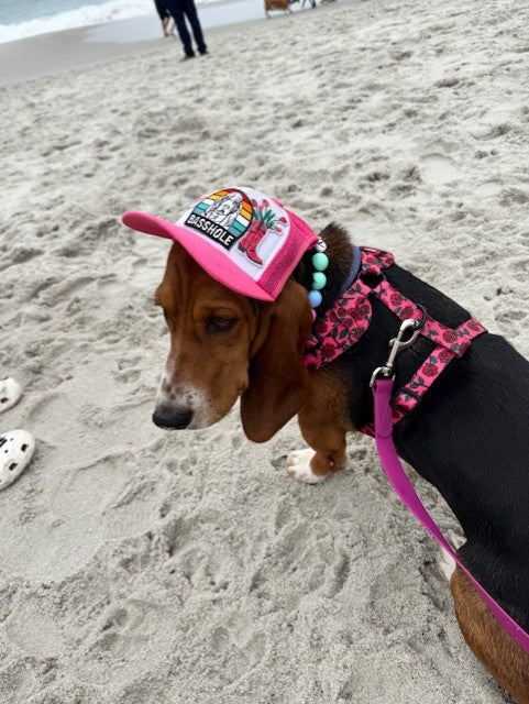 PRE-ORDER Blank Trucker Hats for Pets